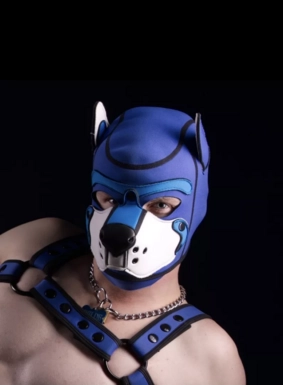 @pupwilde