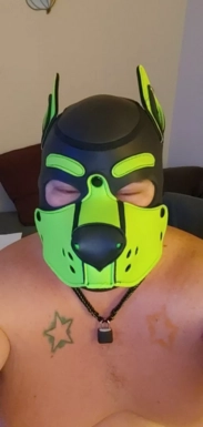 @squeekbear